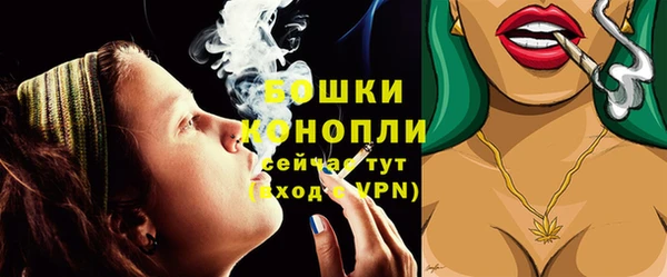 PSILOCYBIN Дмитриев