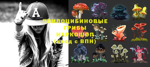 ГАЛЛЮЦИНОГЕННЫЕ ГРИБЫ Россошь
